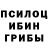 Галлюциногенные грибы мицелий LauraRa crowd