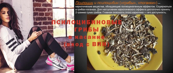 МДПВ Осинники