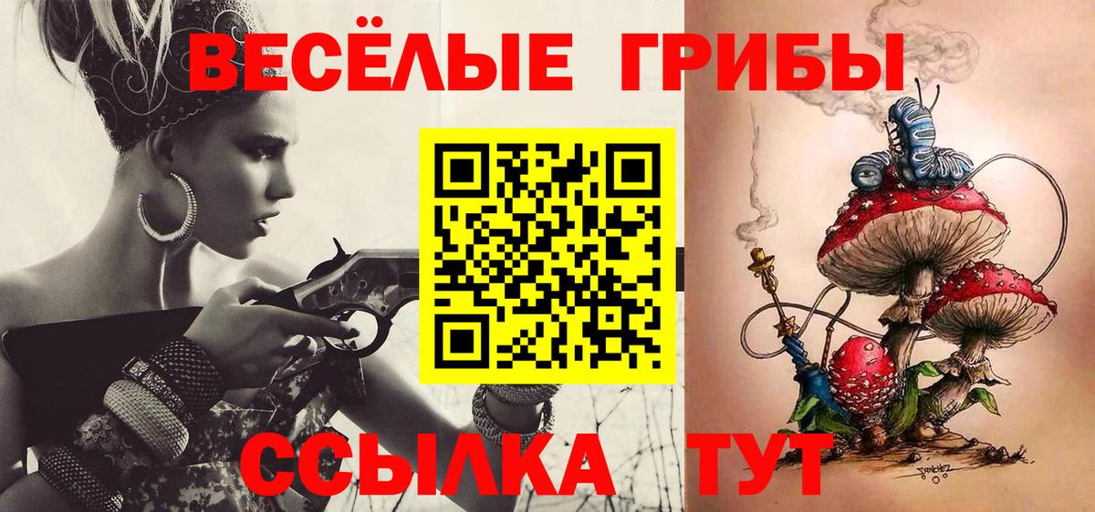 Псилоцибиновые грибы MAGIC MUSHROOMS  Псилоцибиновые грибы мухоморы  Грязи 