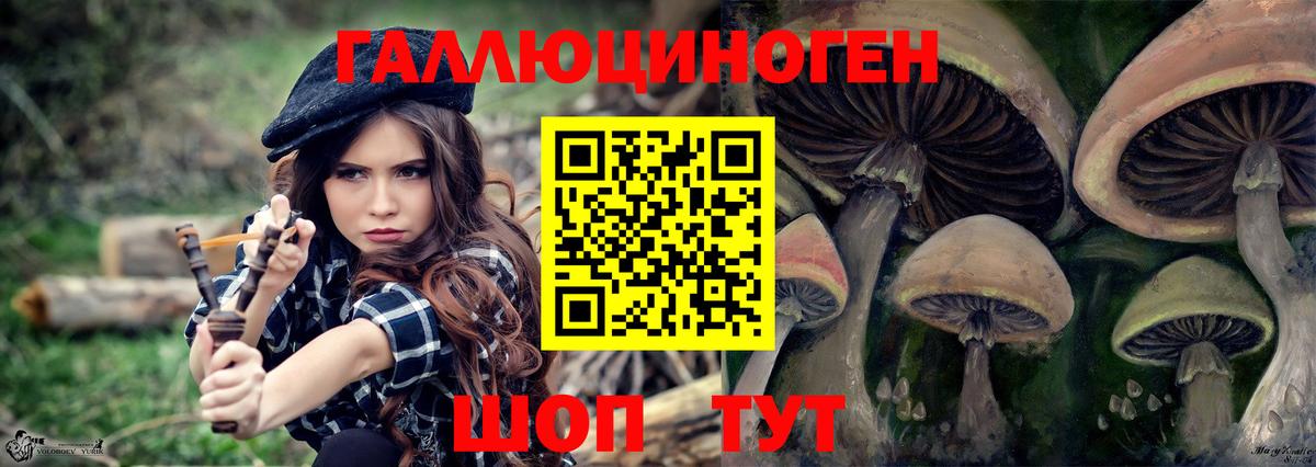 Галлюциногенные грибы Psilocybe Грязи